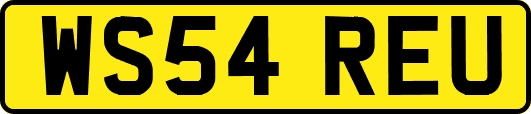 WS54REU