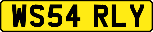 WS54RLY