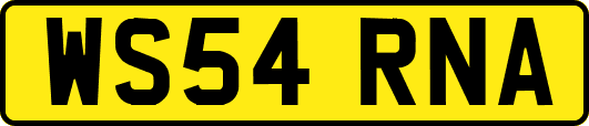 WS54RNA