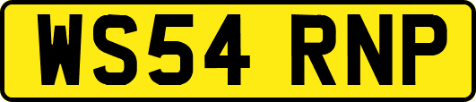 WS54RNP