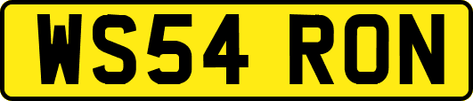 WS54RON