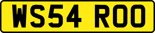 WS54ROO