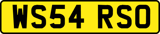 WS54RSO