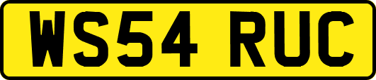 WS54RUC