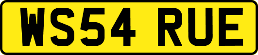 WS54RUE