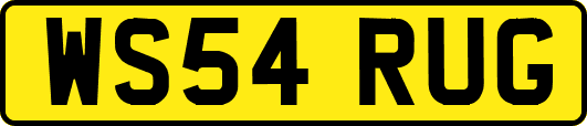 WS54RUG