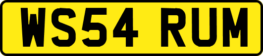 WS54RUM