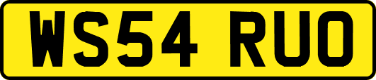 WS54RUO