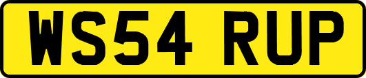 WS54RUP