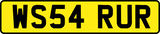 WS54RUR