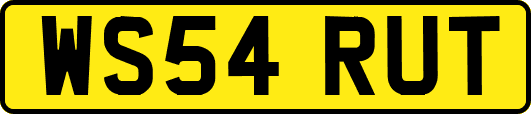 WS54RUT