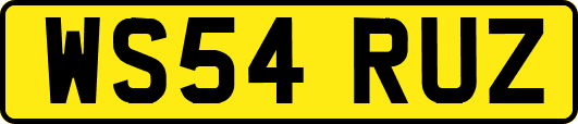 WS54RUZ