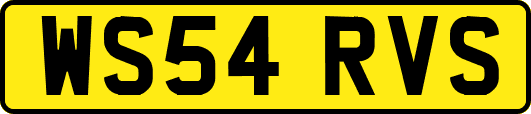 WS54RVS