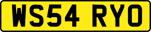 WS54RYO