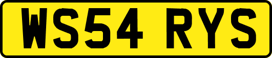 WS54RYS