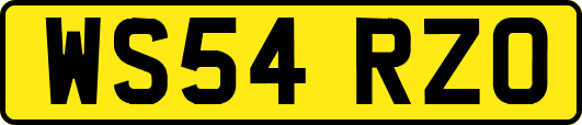 WS54RZO