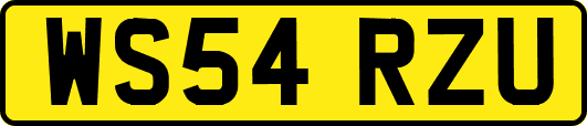 WS54RZU