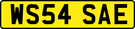 WS54SAE
