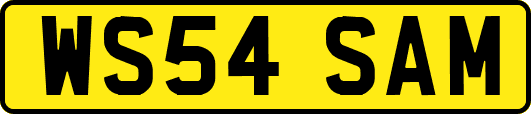 WS54SAM
