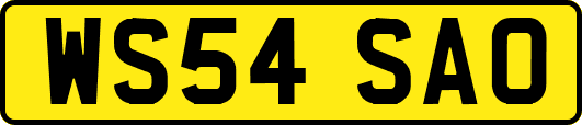 WS54SAO