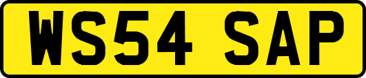 WS54SAP