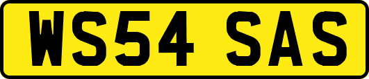 WS54SAS
