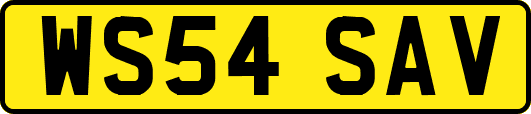 WS54SAV