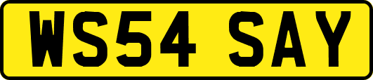 WS54SAY