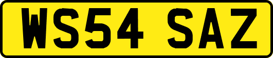 WS54SAZ