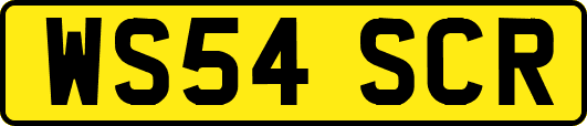 WS54SCR
