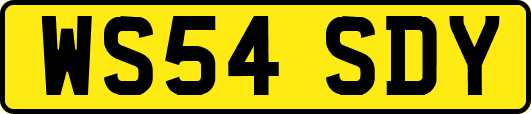 WS54SDY