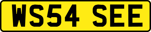 WS54SEE
