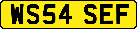 WS54SEF