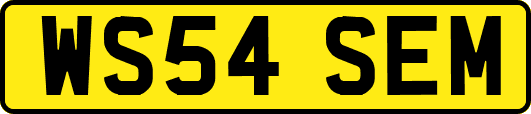 WS54SEM