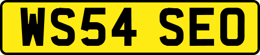 WS54SEO