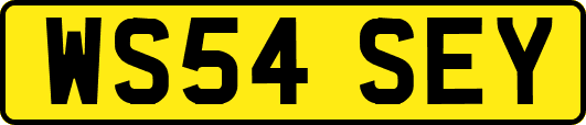 WS54SEY