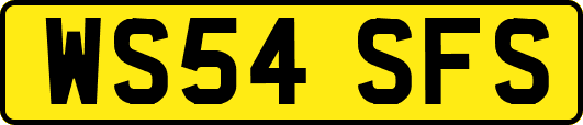WS54SFS