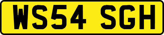 WS54SGH