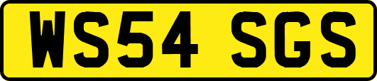 WS54SGS