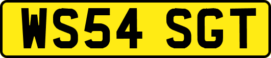 WS54SGT