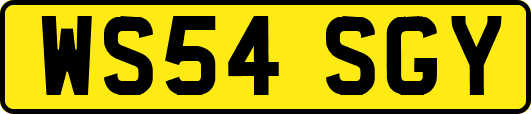 WS54SGY