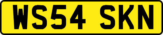 WS54SKN