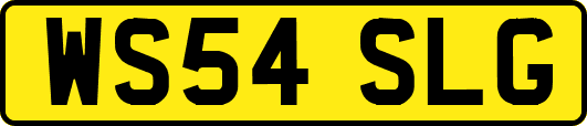 WS54SLG