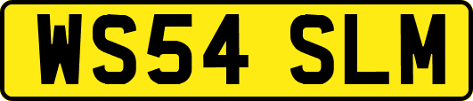 WS54SLM