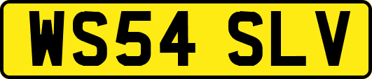 WS54SLV
