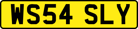 WS54SLY