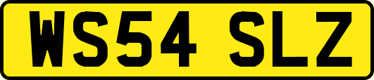 WS54SLZ