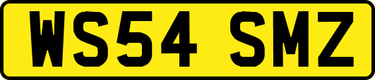 WS54SMZ