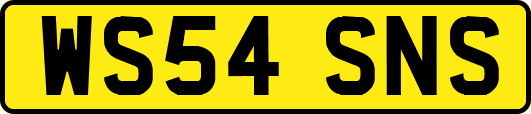 WS54SNS