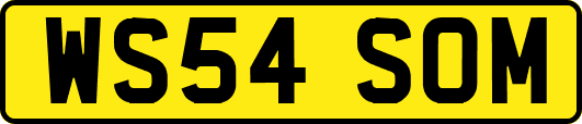 WS54SOM